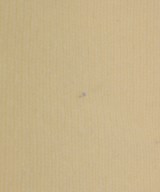 SHIPS（シップス）ベスト 白 サイズ:F レディース/2200691776040