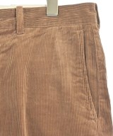 Inpaichthys Kerri（インパクティスケリー）その他 茶 サイズ:S レディース/2200660789064