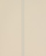 BEAUTY&YOUTH UNITED ARROWS（ビューティーアンドユースユナイテッドアローズ）ブラウス 白 サイズ:-(M位) レディース/2200627913013