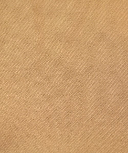 BEAUTY&YOUTH UNITED ARROWS（ビューティーアンドユースユナイテッドアローズ）ブラウス 茶 サイズ:-(XL位) レディース/2200641822025