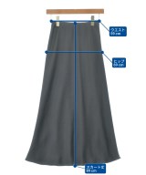 BEAUTY&YOUTH UNITED ARROWS（ビューティーアンドユースユナイテッドアローズ）ロング・マキシ丈スカート グレー サイズ:XS レディース/2200620782043