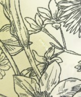 BEAUTY&YOUTH UNITED ARROWS（ビューティーアンドユースユナイテッドアローズ）その他 白 サイズ:S レディース/2200646328010