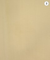 BEAUTY&YOUTH UNITED ARROWS（ビューティーアンドユースユナイテッドアローズ）その他 白 サイズ:S レディース/2200725480011