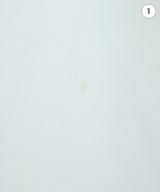 green label relaxing（グリーンレーベルリラクシング）ブラウス 白 サイズ:F レディース/2200635363121