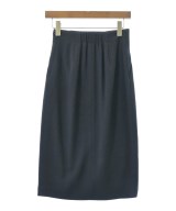 green label relaxing（グリーンレーベルリラクシング）ロング・マキシ丈スカート 紺 サイズ:36(S位) レディース/2200637519038
