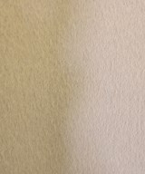 green label relaxing（グリーンレーベルリラクシング）その他 ベージュ サイズ:36(S位) レディース/2200638746013