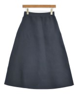 green label relaxing（グリーンレーベルリラクシング）ロング・マキシ丈スカート 紺 サイズ:-(M位) レディース/2200621995039