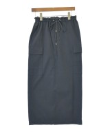 green label relaxing（グリーンレーベルリラクシング）ロング・マキシ丈スカート 紺 サイズ:-(M位) レディース/2200619896126
