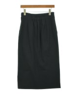 green label relaxing（グリーンレーベルリラクシング）ロング・マキシ丈スカート 紺 サイズ:40(M位) レディース/2200618002108