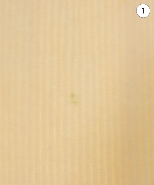 green label relaxing（グリーンレーベルリラクシング）ロング・マキシ丈スカート 白 サイズ:F レディース/2200627133022