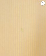 green label relaxing（グリーンレーベルリラクシング）ロング・マキシ丈スカート 白 サイズ:F レディース/2200627133022