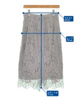 green label relaxing（グリーンレーベルリラクシング）ロング・マキシ丈スカート グレー サイズ:38(M位) レディース/2200615969084