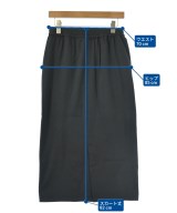 green label relaxing（グリーンレーベルリラクシング）ロング・マキシ丈スカート 黒 サイズ:F レディース/2200612819016