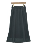 green label relaxing（グリーンレーベルリラクシング）ロング・マキシ丈スカート 紺 サイズ:38(M位) レディース/2200617843122