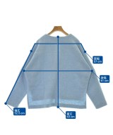 green label relaxing（グリーンレーベルリラクシング）ブラウス 青 サイズ:F レディース/2200671358013