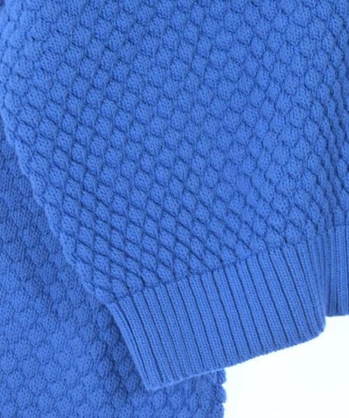 green label relaxing（グリーンレーベルリラクシング）ニット・セーター 青 サイズ:F レディース/2200674078079