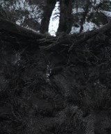 green label relaxing（グリーンレーベルリラクシング）ブラウス 黒 サイズ:F レディース/2200674973046