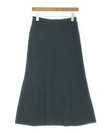 green label relaxing（グリーンレーベルリラクシング）ロング・マキシ丈スカート 黒 サイズ:-(M位) レディース/2200654013014