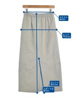 green label relaxing（グリーンレーベルリラクシング）ロング・マキシ丈スカート グレー サイズ:36(S位) レディース/2200647700129