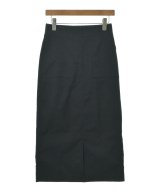 green label relaxing（グリーンレーベルリラクシング）ロング・マキシ丈スカート 紺 サイズ:38(M位) レディース/2200637154017