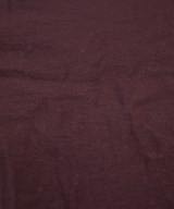 green label relaxing（グリーンレーベルリラクシング）ブラウス 赤 サイズ:F レディース/2200643416062