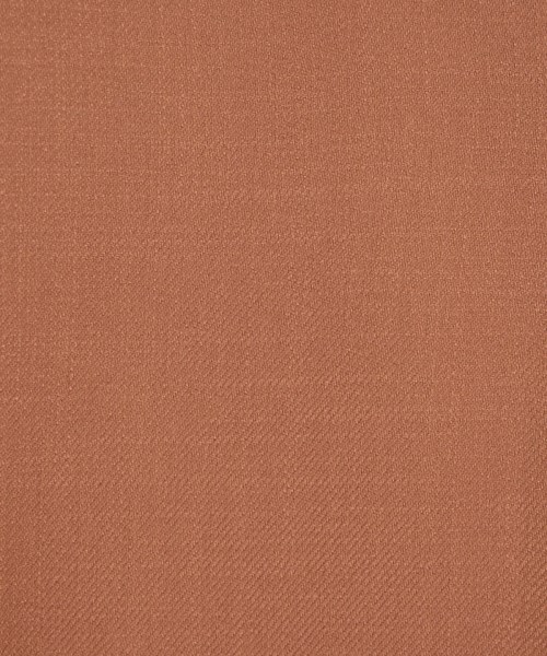 green label relaxing（グリーンレーベルリラクシング）ブラウス 茶 サイズ:F レディース/2200641922138