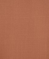 green label relaxing（グリーンレーベルリラクシング）ブラウス 茶 サイズ:F レディース/2200641922138