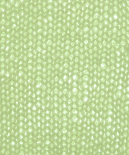 green label relaxing（グリーンレーベルリラクシング）ニット・セーター 緑 サイズ:F レディース/2200649336029