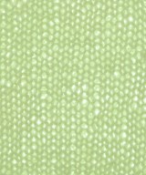 green label relaxing（グリーンレーベルリラクシング）ニット・セーター 緑 サイズ:F レディース/2200649336029