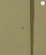 green label relaxing（グリーンレーベルリラクシング）その他 緑 サイズ:36(S位) レディース/2200662595014