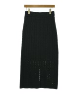 green label relaxing（グリーンレーベルリラクシング）ロング・マキシ丈スカート 黒 サイズ:-(M位) レディース/2200716292128