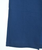 green label relaxing（グリーンレーベルリラクシング）ロング・マキシ丈スカート 青 サイズ:38(M位) レディース/2200717873074