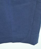 green label relaxing（グリーンレーベルリラクシング）ロング・マキシ丈スカート 青 サイズ:38(M位) レディース/2200680894199