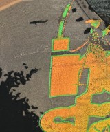 DIESEL（ディーゼル）ノースリーブ 黒 サイズ:L レディース/2200620621083