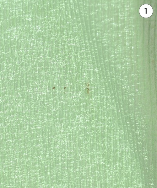 JOURNAL STANDARD（ジャーナルスタンダード）Tシャツ・カットソー 緑 サイズ:-(M位) レディース/2200641963148