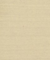 Ron Herman California（ロンハーマンカリフォルニア）Tシャツ・カットソー 白 サイズ:XS レディース/2200640715151