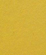 Ron Herman California（ロンハーマンカリフォルニア）ニット・セーター 黄 サイズ:XS レディース/2200627489051