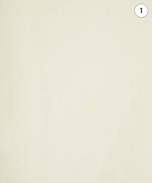 Ron Herman California（ロンハーマンカリフォルニア）スウェット 白 サイズ:M レディース/2200621202014