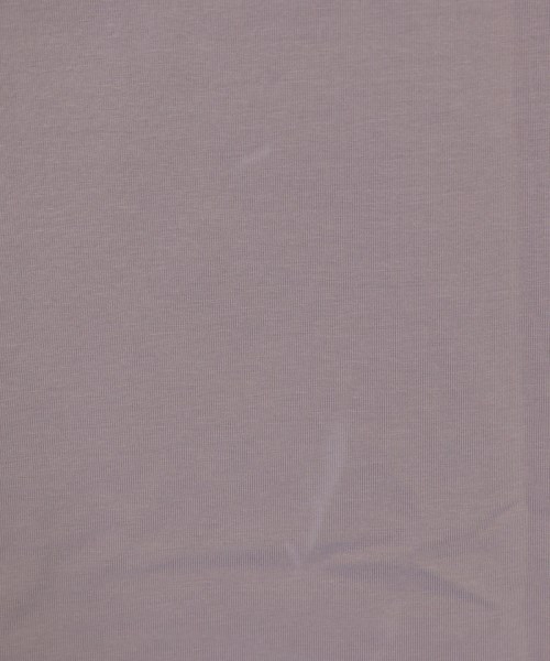 ViS（ヴィス）Tシャツ・カットソー 紫 サイズ:F レディース/2200714065366