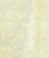 ViS（ヴィス）ロング・マキシ丈スカート 白 サイズ:F レディース/2200637917032