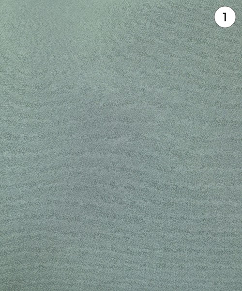 ViS（ヴィス）ブラウス 緑 サイズ:F レディース/2200639048086