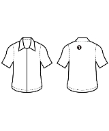 ViS（ヴィス）ブラウス 緑 サイズ:F レディース/2200639048086