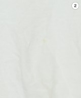 ZUCCa（ズッカ）Tシャツ・カットソー 白 サイズ:M レディース/2200716828044
