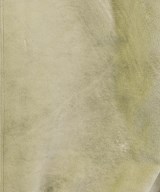 N.HOOLYWOOD（エヌハリウッド）その他 グレー サイズ:36(S位) メンズ/2200664821012