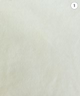 N.HOOLYWOOD（エヌハリウッド）Tシャツ・カットソー 白 サイズ:38(M位) メンズ/2200735535039