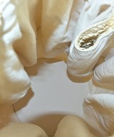 MAM（マム）ショルダーバッグ ベージュ サイズ:- レディース/2200622402437