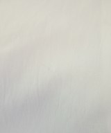 BEARDSLEY GALLARDAGALANTE（ビアズリーガリャルダガランテ）ブラウス 白 サイズ:F レディース/2200635656247