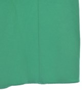 BEARDSLEY GALLARDAGALANTE（ビアズリーガリャルダガランテ）ロング・マキシ丈スカート 緑 サイズ:1(S位) レディース/2200685339220