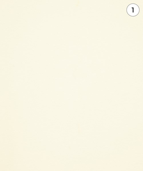 COLLAGE GALLARDAGALANTE（コラージュガリャルダガランテ）ブラウス 白 サイズ:F レディース/2200666558121