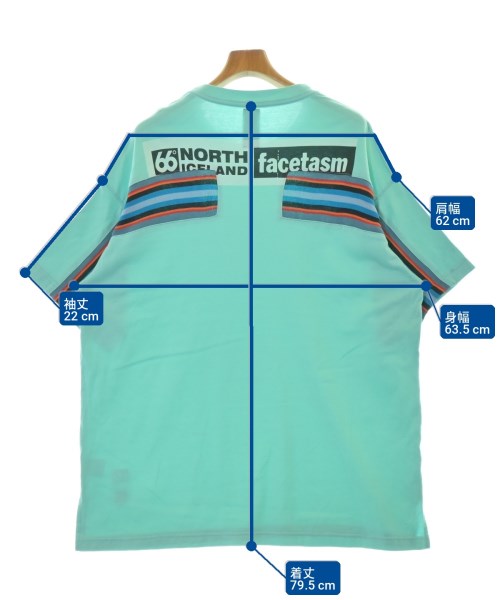 FACETASM（ファセッタズム）Tシャツ・カットソー 緑 サイズ:-(XXL位) メンズ/2200725186111